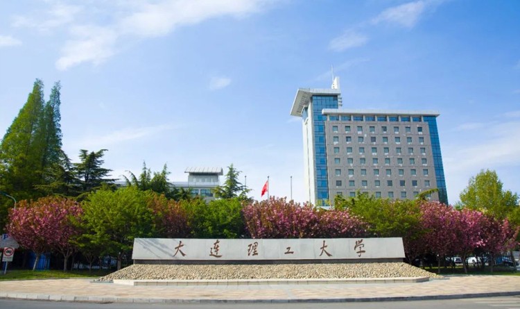 大连理工大学项目