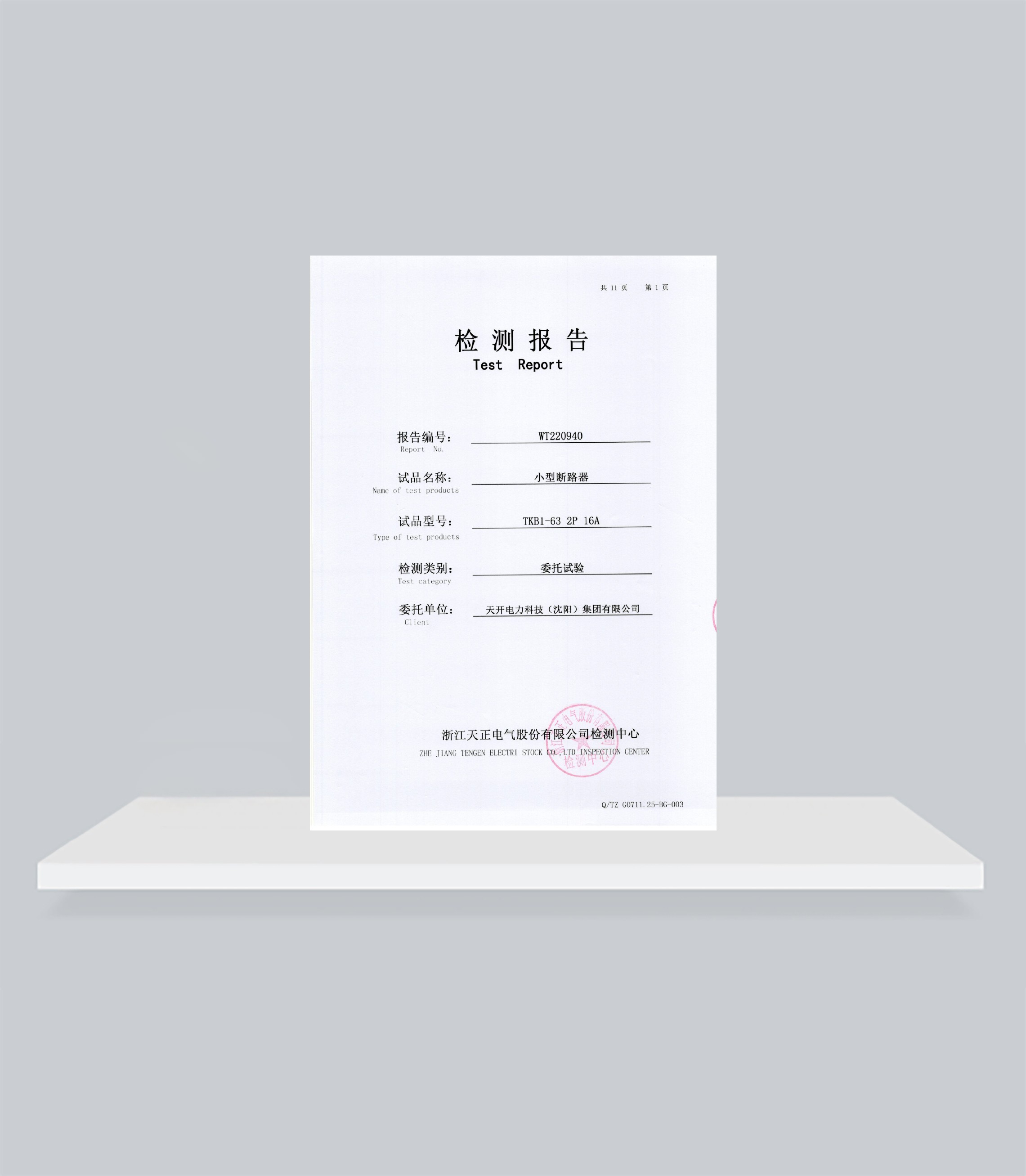 WT220940小型断路器