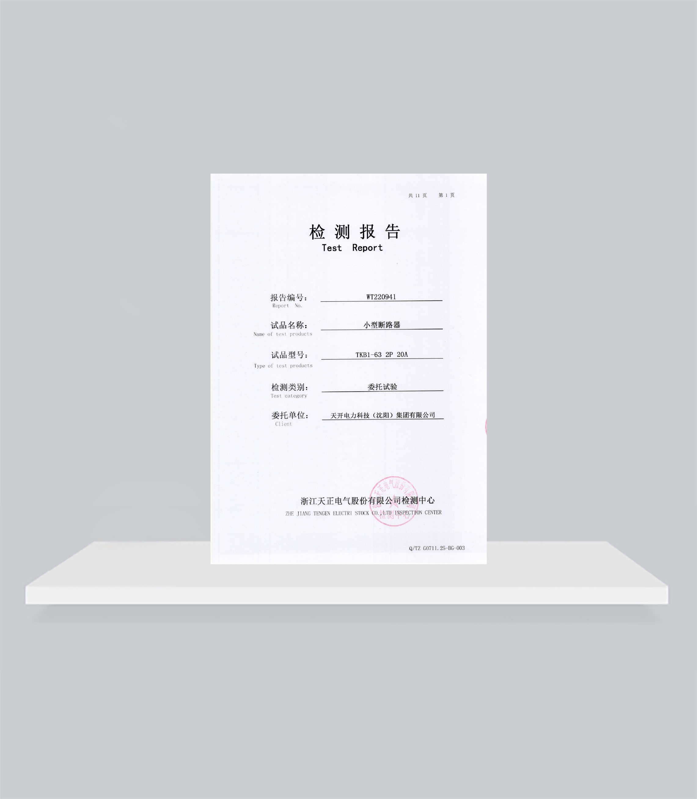 WT220941小型断路器